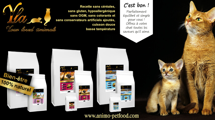 croquettes-sans-cereale-pour-chat